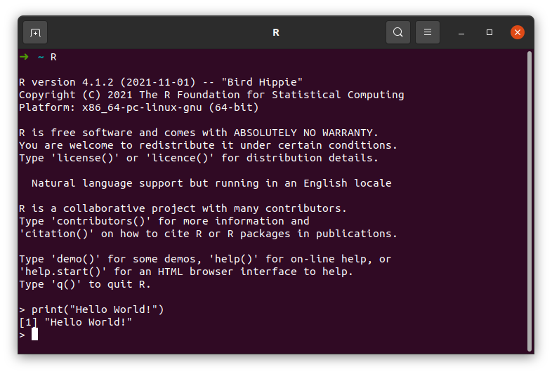 R Hello World