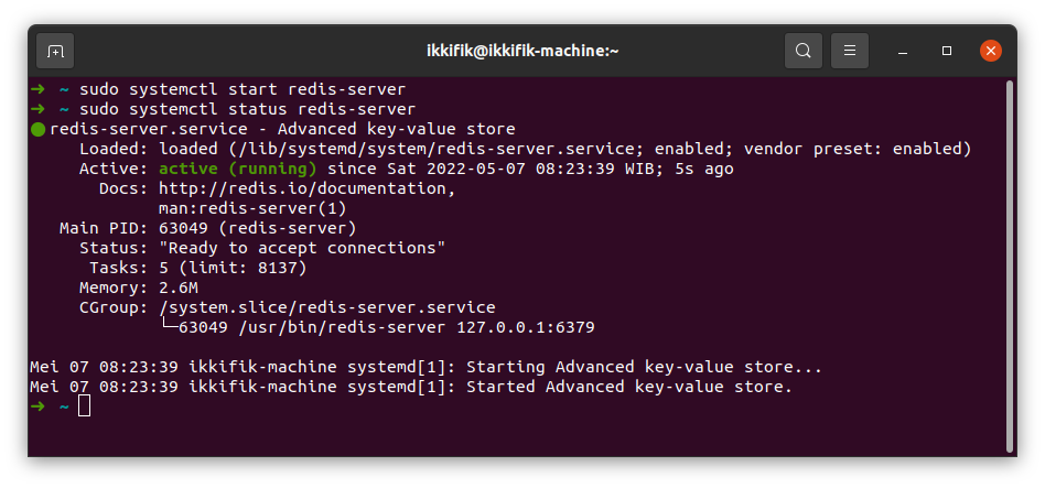 Aktivasi Service Redis Server